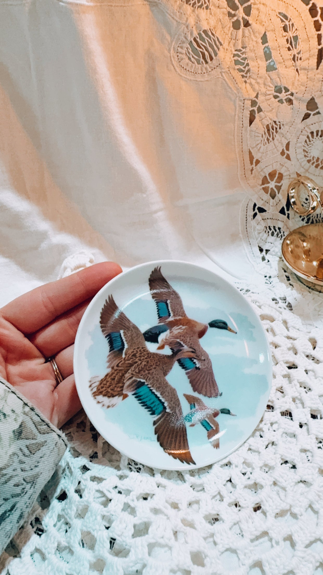 Vintage Mallards Plate by J. Bruce | Nature’s Heritage Nabisco | Duck Wildlife Collector Plate