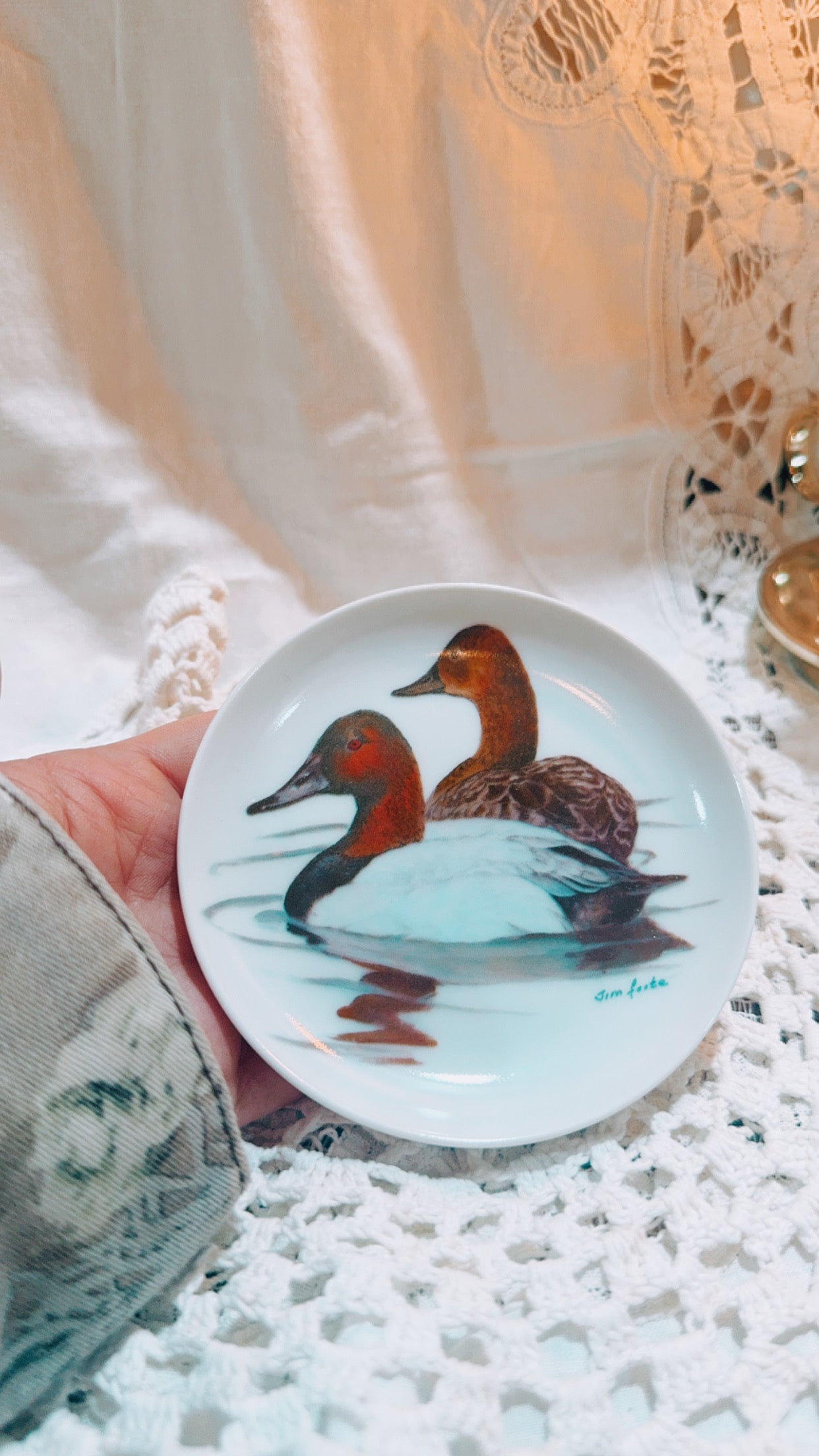 Vintage Canvasbacks Duck Plate by Jim Foote | Nature’s Heritage Wildlife Collectible | Small Mallard Plate